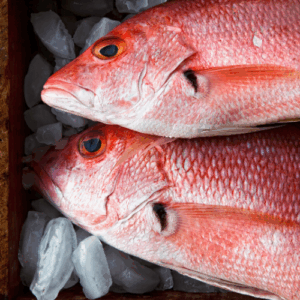 Pargo rojo